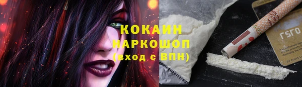 стаф Володарск