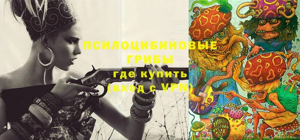 стаф Володарск