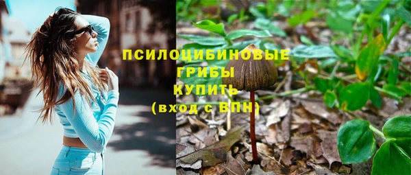 стаф Володарск