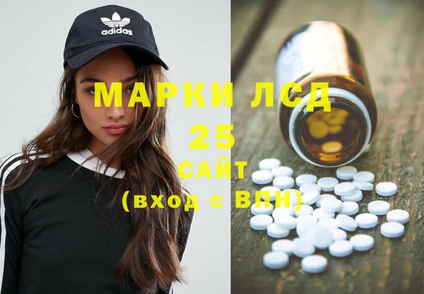 стаф Володарск