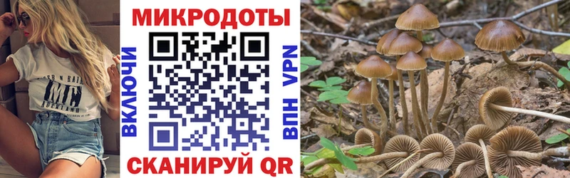 Галлюциногенные грибы мухоморы  Сальск 